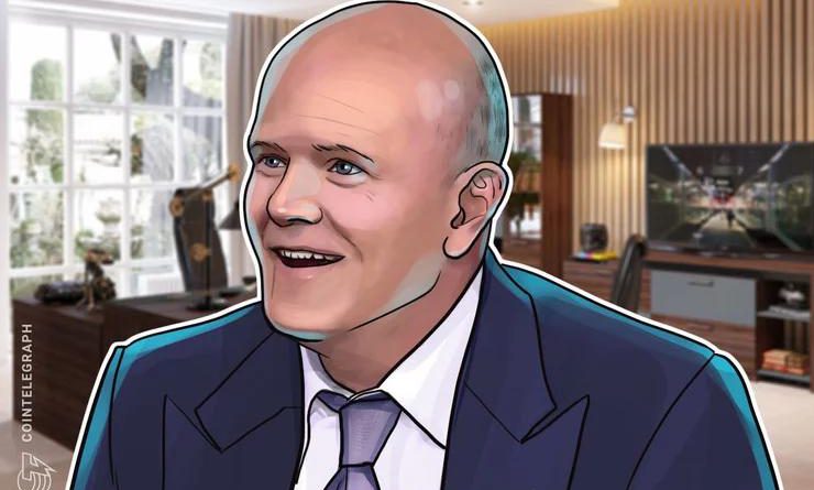 مایک نووگراتز (Mike Novogratz) می گوید: " سال 2020 باید سال درخشش بیت کوین (Bitcoin) باشد و قطعا همینطور خواهد بود"