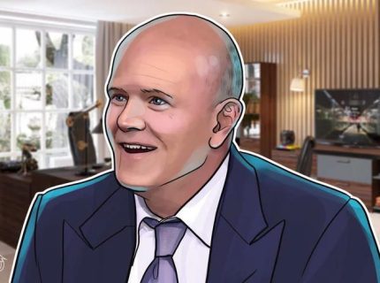 مایک نووگراتز (Mike Novogratz) می گوید: ” سال 2020 باید سال درخشش بیت کوین (Bitcoin) باشد و قطعا همینطور خواهد بود”