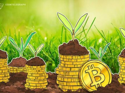 هدیه دادن بیت کوین (Bitcoin) در رسم تریک اور تریت (Trick-or-Treat) هالووین در کانادا!