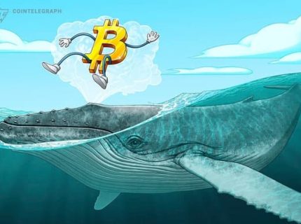 فروش بیشترین میزان بیت کوین (Bitcoin) از سوی نهنگ ها از ماه مارس؛ قیمت مجددا به 15.500 دلار رسید