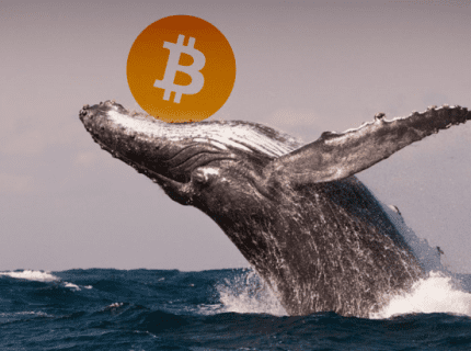 ویل آلرت: 3500 بیت کوین به یک والت ناشناس ارسال شد