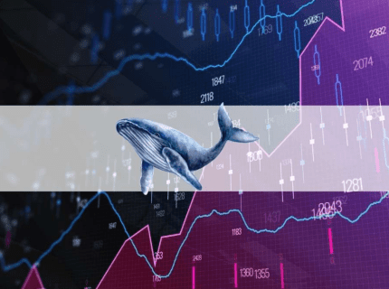 سومین نهنگ برتر بیت کوین 28 میلیون دلار در سطح 38.400 دلاری خریداری کرد