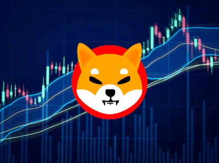 تحلیل قیمت شیبا: احتمال افت 12.5 درصدی قیمت