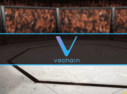 وی چین با سازمان UFC شریک می شود