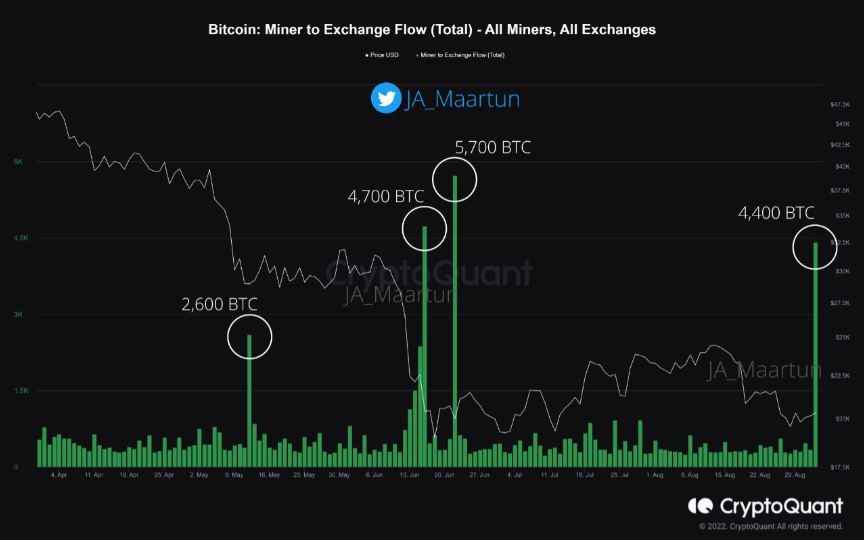 منبع: CryptoQuant