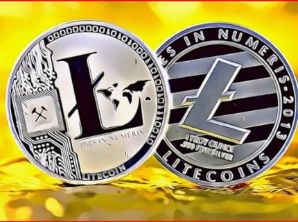 افزایش آدرس های لایت کوین با موجودی حداقل 100 LTC پیش از رویداد هالوینگ