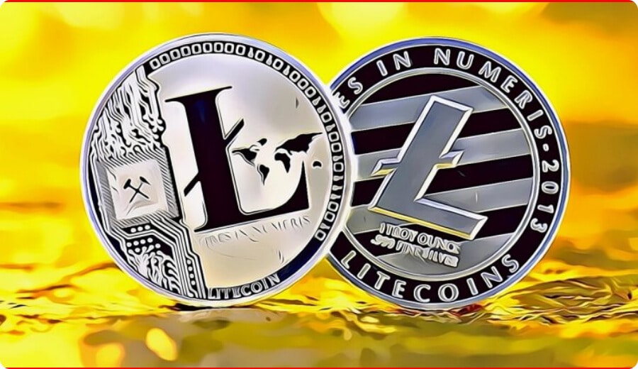 افزایش آدرس های لایت کوین با موجودی حداقل 100 LTC پیش از رویداد هالوینگ