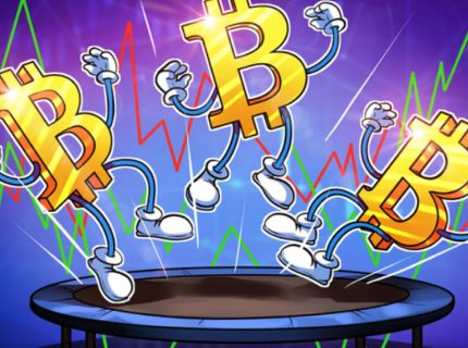 نوسانات بیت کوین کمتر از نوسان قیمت سهام تسلا و انویدیا