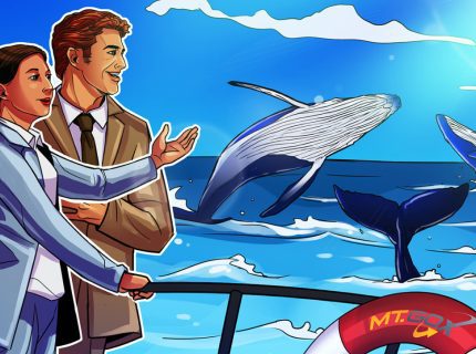 نهنگ‌های بیت کوین با وجود فشار فروش احتمالی طلبکاران Mt. Gox درحال انباشت هستند