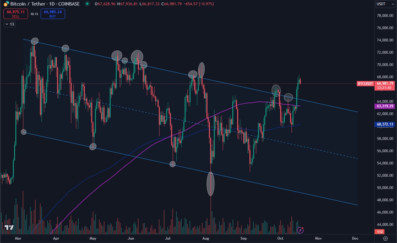 نمودار 1 روزه BTC/USDT. منبع: Daan Crypto Trades/X