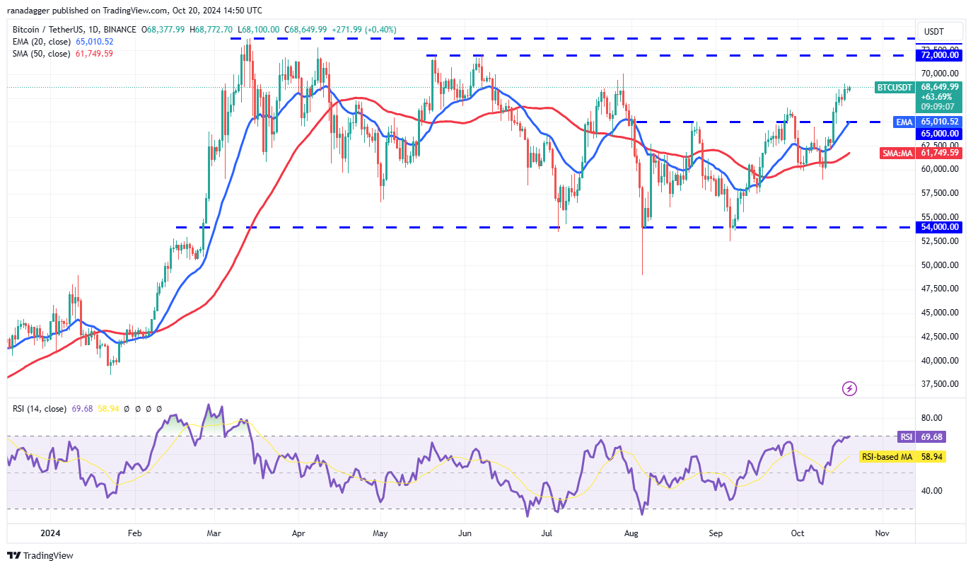 نمودار روزانه BTC/USDT. منبع: TradingView