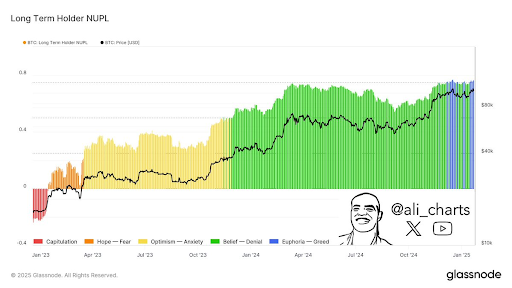 پویایی بازار BTC در فاز طمع | منبع: علی مارتینز در X