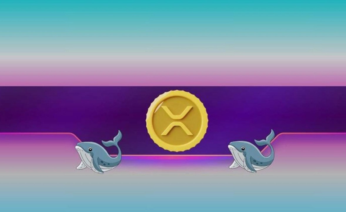 میزان خرید توسط نهنگ های ریپل (XRP) و دوج کوین (DOGE) افزایش یافت