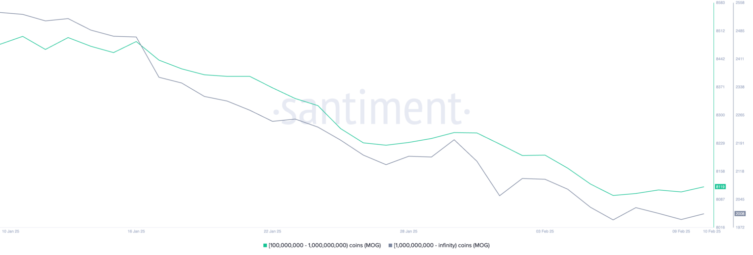 تعداد آدرس‌هایی که حداقل 100,000,000 MOG دارند. منبع: Santiment.