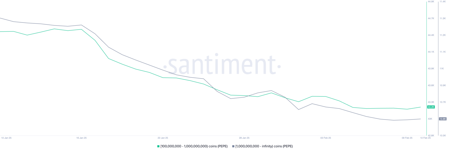 تعداد آدرس‌هایی که حداقل 100000000 PEPE دارند. منبع: Santiment.