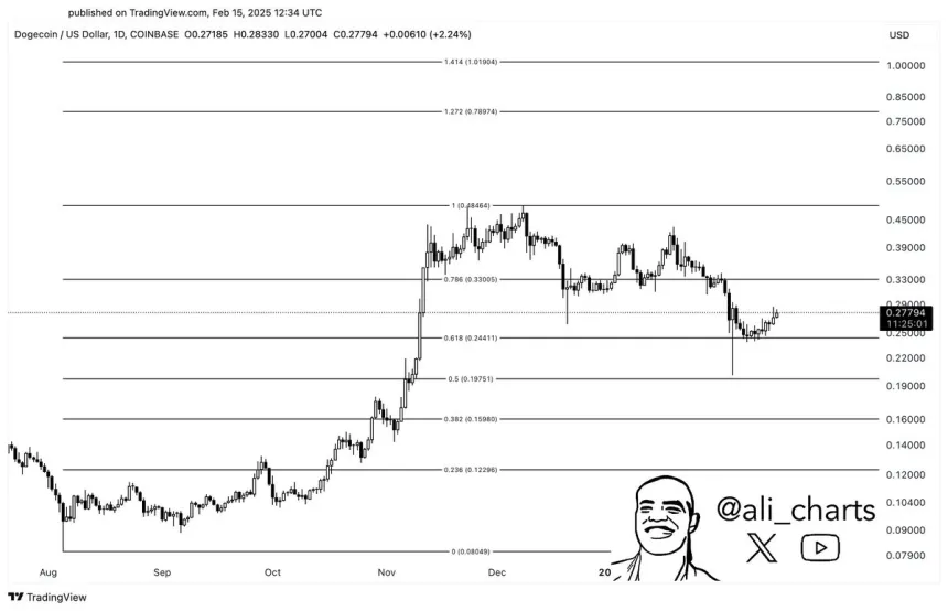 Dogecoin به سطح 0.618 Fib بازگشت | منبع: علی مارتینز در X