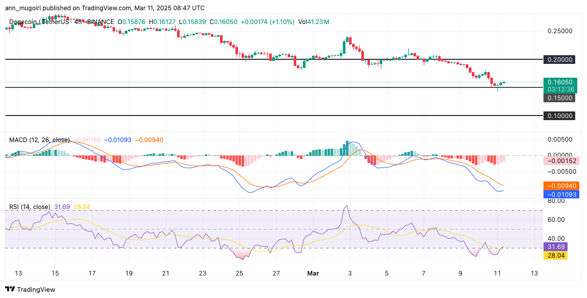 نمودار قیمت دوج کوین: TradingView