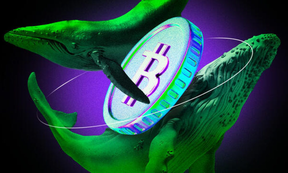 نهنگ معروف هایپرلیکویید پوزیشن بیت کوین خود را به 1.25 میلیارد دلار رساند