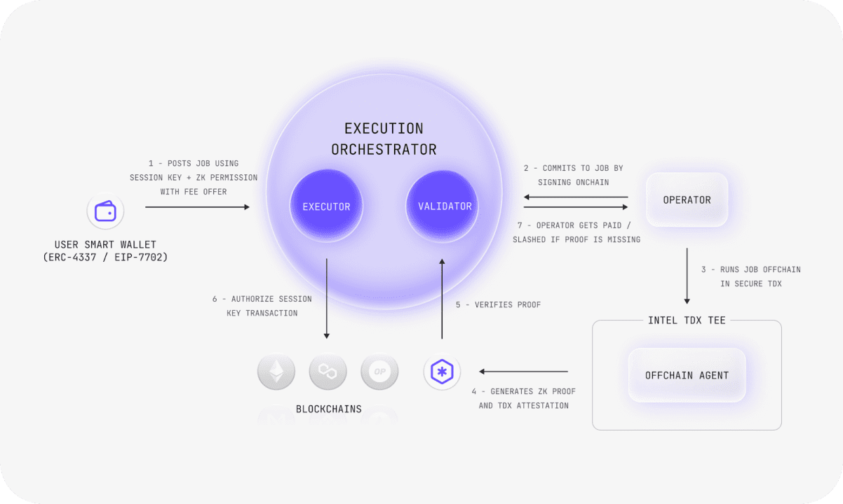 پروتکل نیوتن (Newton) چیست؟