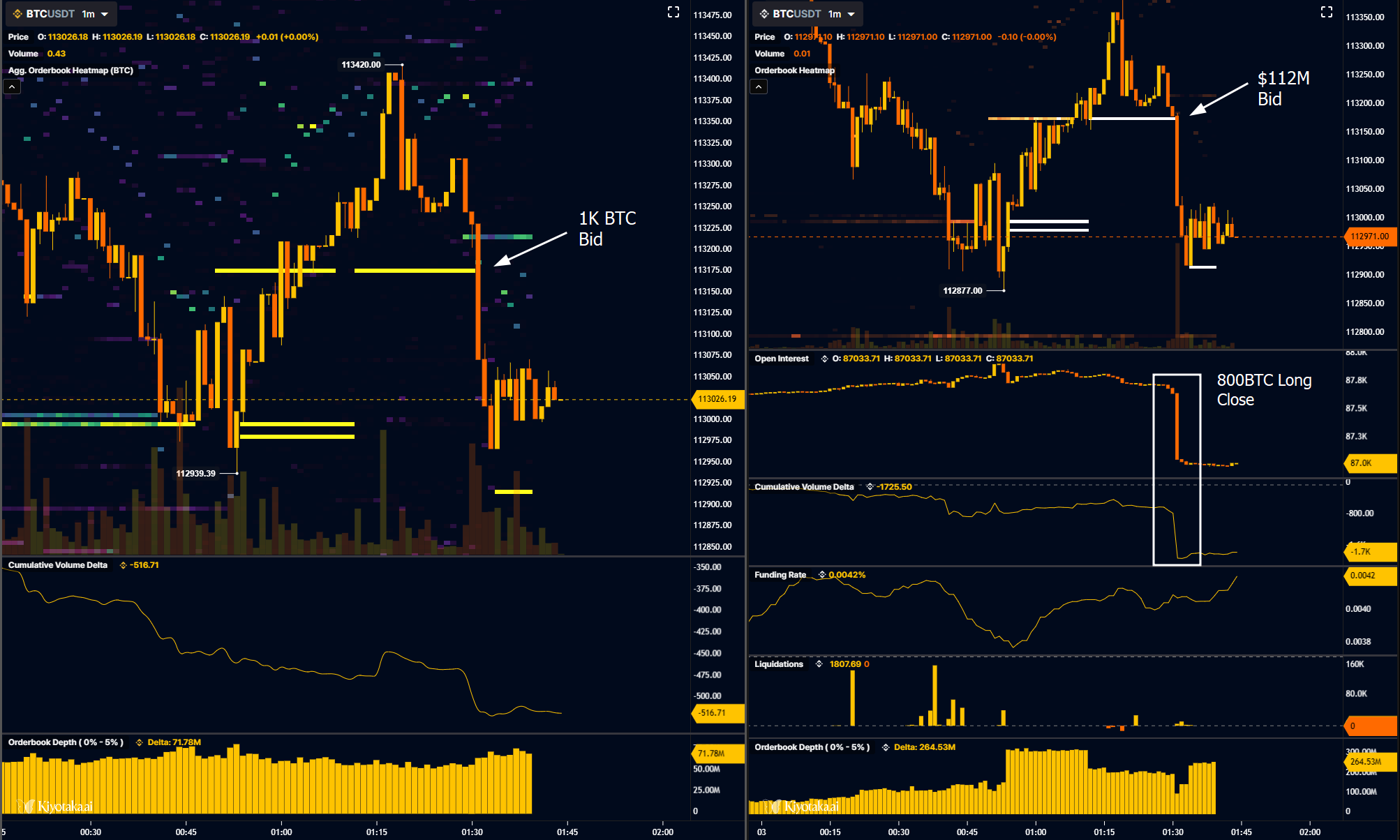 دادههای دفتر سفارشات BTC/USDT. منبع: Skew/X