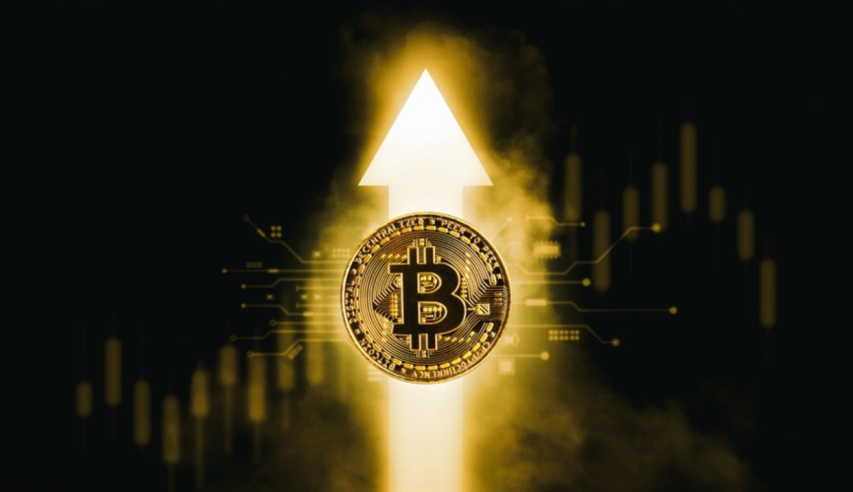 نهنگ‌ها در حال بازگشت؛ تحلیل بیتفینکس از پایان ریزش بیت‌کوین