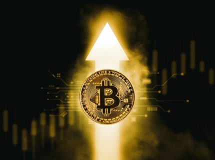 نهنگها در حال بازگشت؛ تحلیل بیتفینکس از پایان ریزش بیتکوین