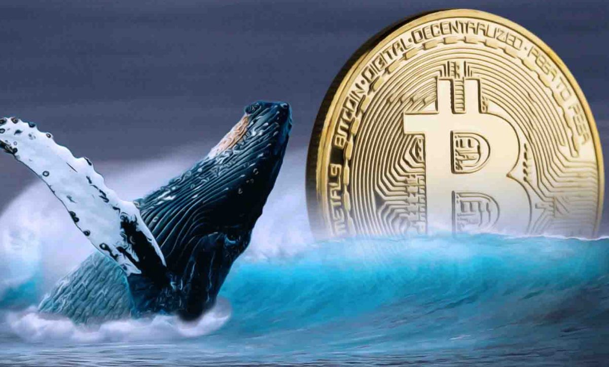 هجوم نهنگ‌های بیت‌کوین برای خرید؛ سرمایه‌گذاران خرد در حال فروش