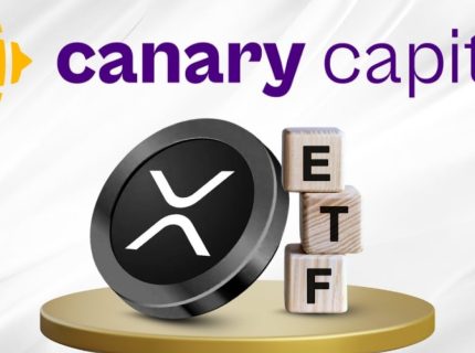 صندوق ETF اسپات ریپل Canary Capital آماده عرضه؛ احتمال راه‌اندازی تا پنجشنبه