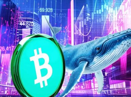 جف پارک: نهنگهای قدیمی بیت کوین مانع رشد قیمت میشوند