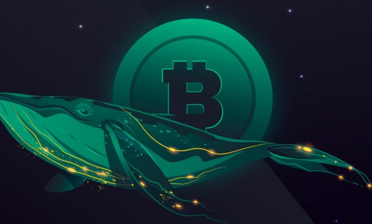 فروش بیت‌کوین توسط هولدرهای بلندمدت متوقف شد؛ نهنگ‌های اتریوم در حال انباشت