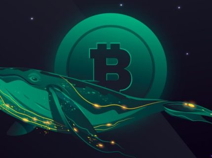 فروش بیت‌کوین توسط هولدرهای بلندمدت متوقف شد؛ نهنگ‌های اتریوم در حال انباشت