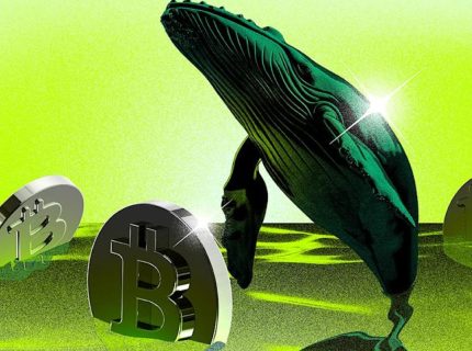 نهنگ‌های بیتفینکس در حال خرید بیت کوین: ۵ نکته مهم BTC در هفت روز آینده