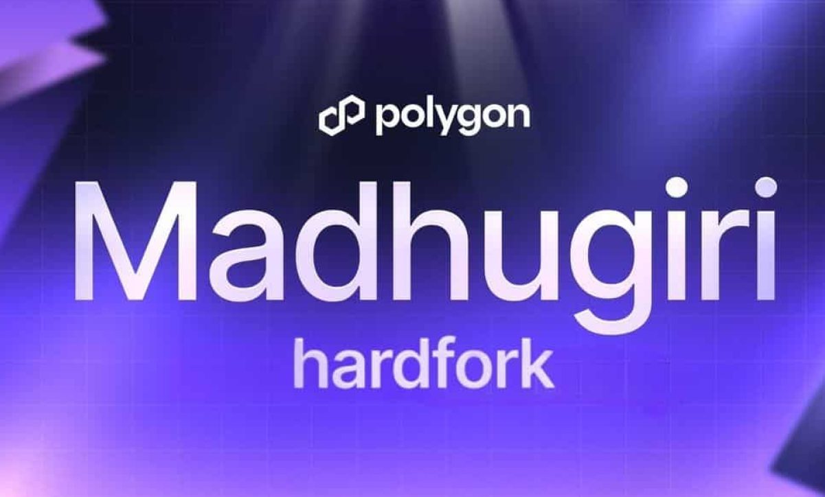 هارد فورک «Madhugiri» در شبکه پالیگان اجرا شد؛ افزایش ۳۳ درصدی توان شبکه