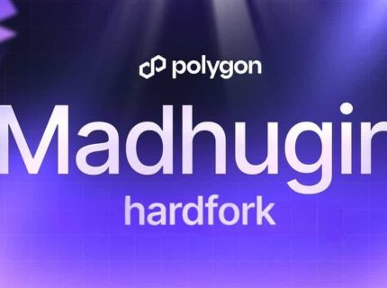 هارد فورک «Madhugiri» در شبکه پالیگان اجرا شد؛ افزایش ۳۳ درصدی توان شبکه