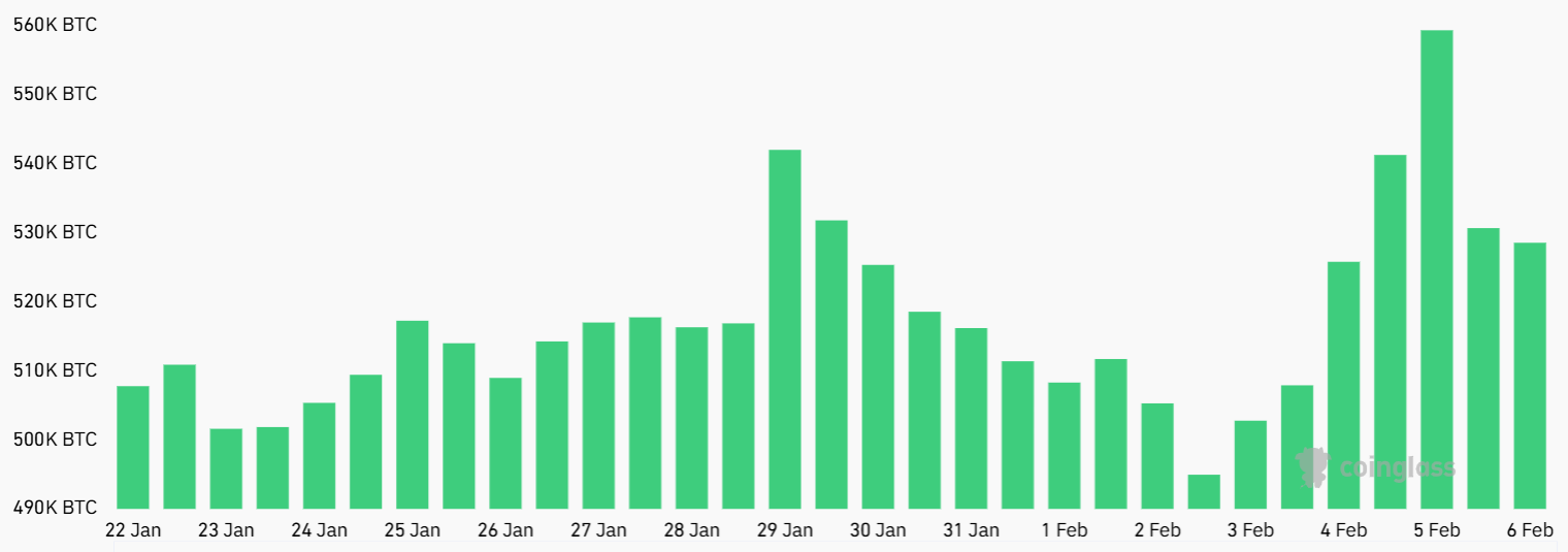 سود باز قراردادهای آتی بیت‌کوین | منبع: CoinGlass