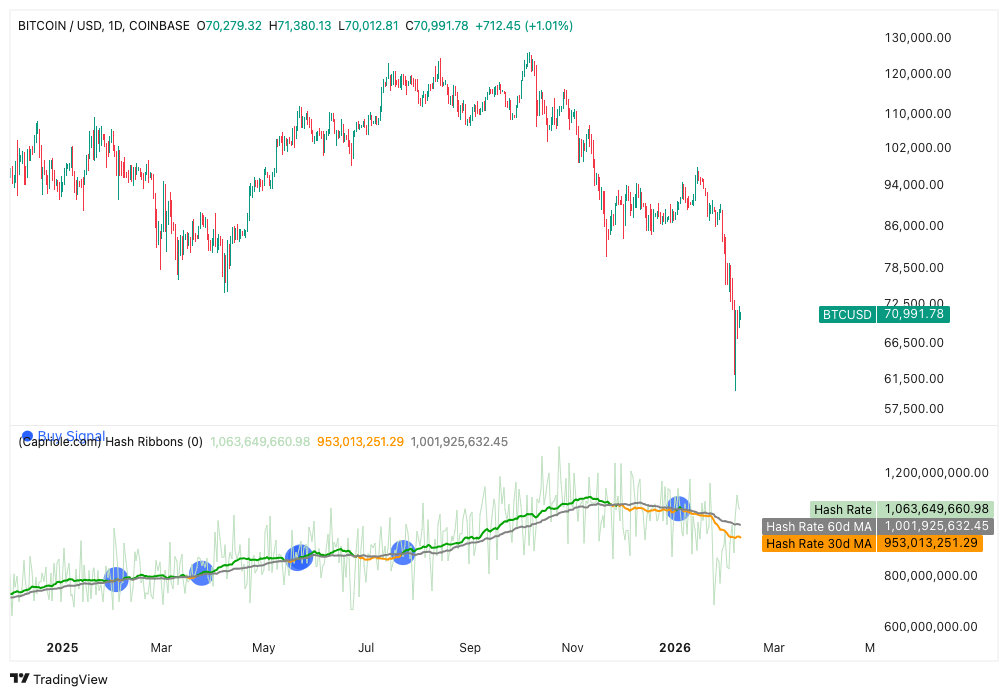 نمودار یک روزه بیت کوین به همراه داده‌های Hash Ribbons