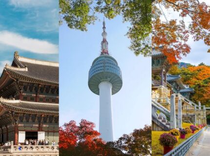 کره جنوبی چگونه از هوش مصنوعی برای تشخیص دستکاری بازار رمزارز استفاده می‌کند؟