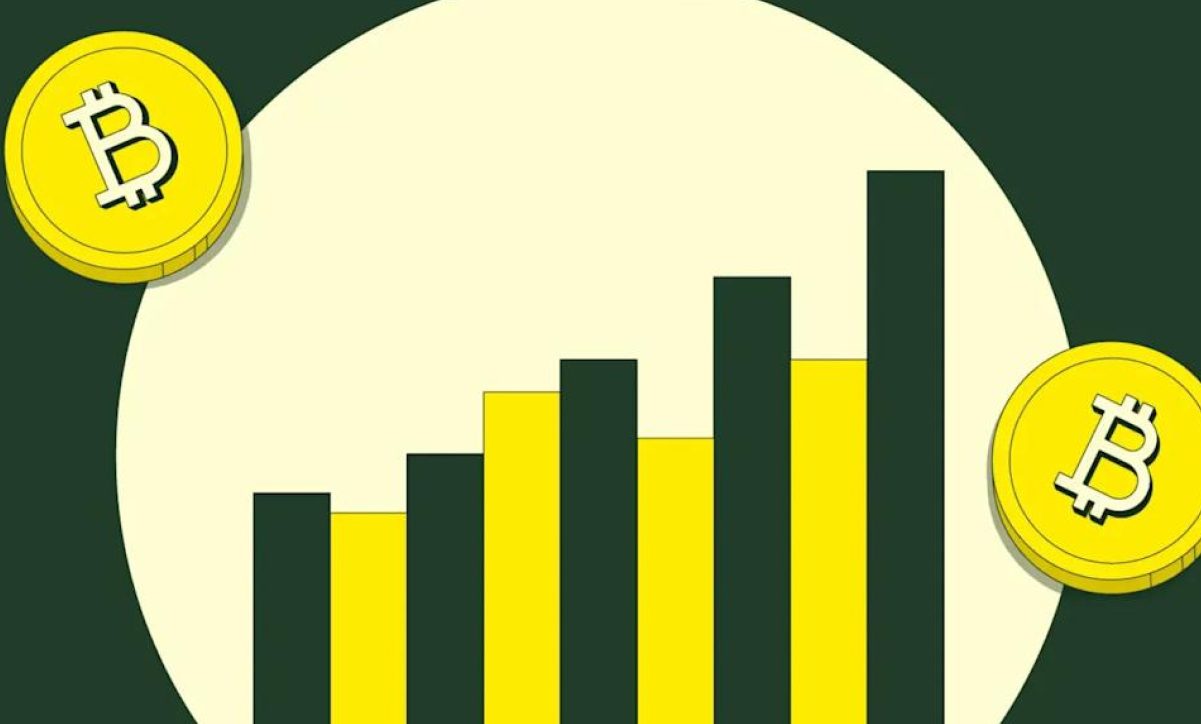 افت نسبت شارپ بیت‌کوین به منفی ۱۰؛ نشانه‌ای از فاز پایانی بازار خرسی؟