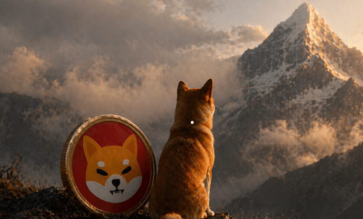 نشانه‌های بازگشت فصل میم‌کوین‌ها؛ شیبا اینو در خط مقدم