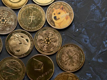 هشدار آدام بک: آلت‌کوین‌ها و میم‌کوین‌ها ممکن است به صفر برسند!