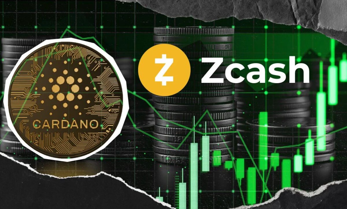 ارزش بازار زی کش از کاردانو فرارتر رفت