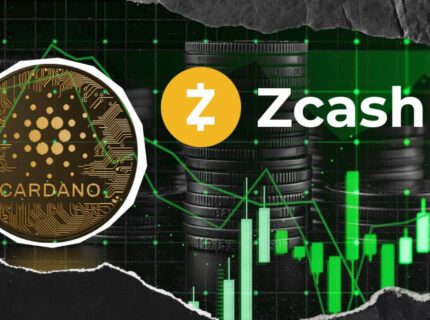 ارزش بازار زی کش از کاردانو فرارتر رفت
