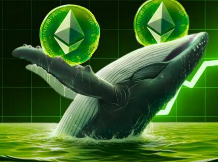 ذخایر نهنگهای اتریوم به پایینترین سطح تاریخ رسید