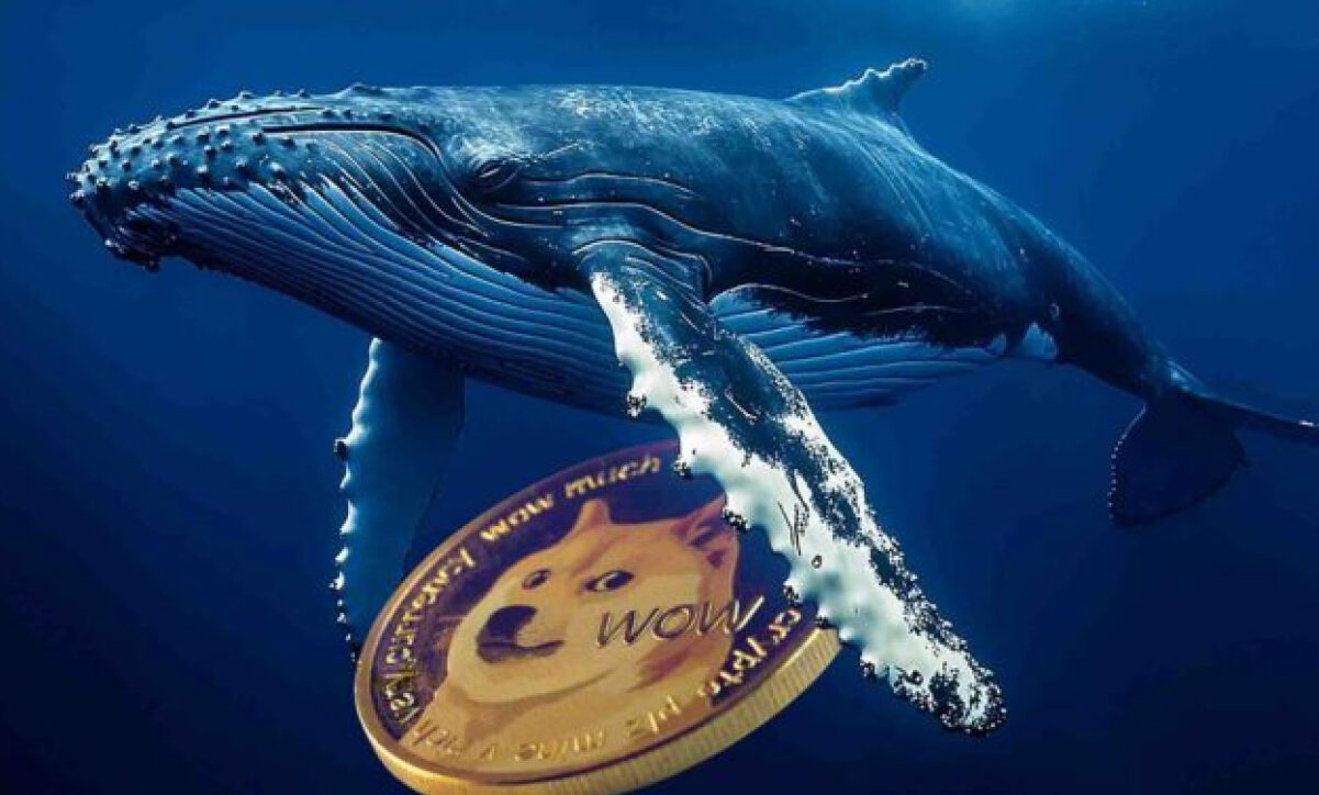انتقال ۱.۱ میلیارد دوج کوین توسط نهنگ‌ها؛ DOGE در آستانه یک حرکت بزرگ؟