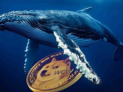 انتقال ۱.۱ میلیارد دوج کوین توسط نهنگها؛ DOGE در آستانه یک حرکت بزرگ؟