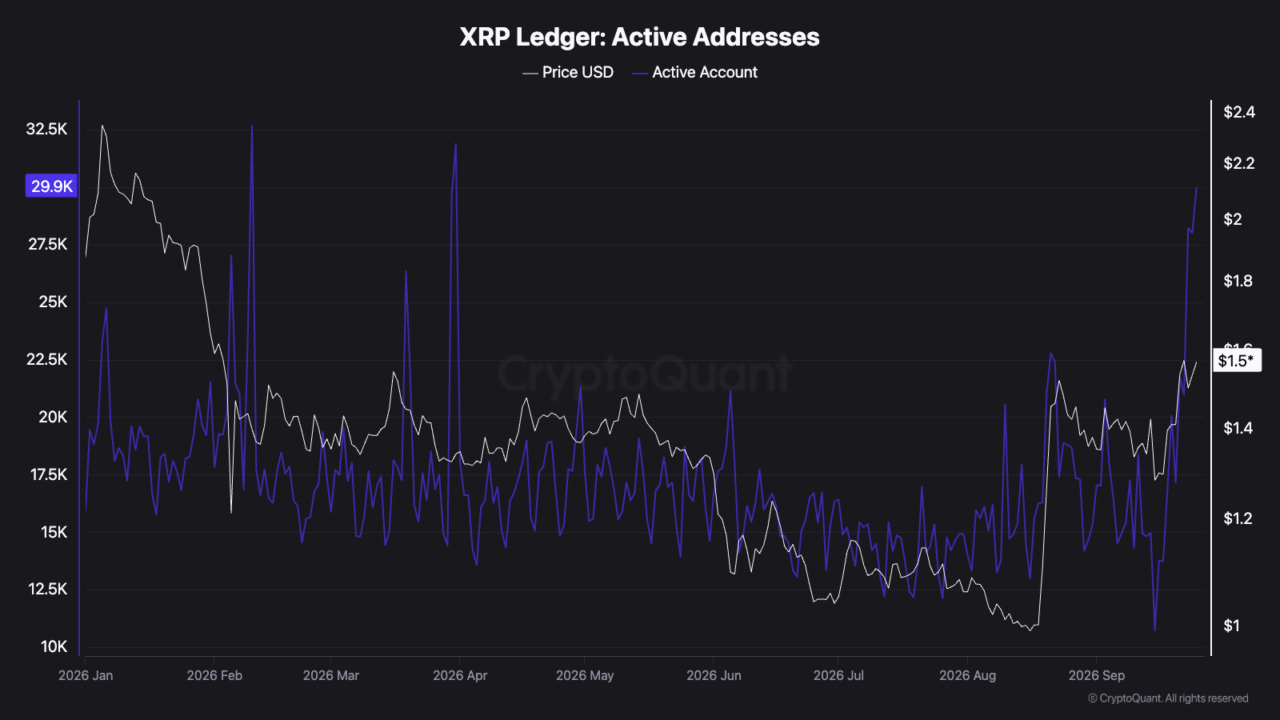 منبع: CryptoQuant