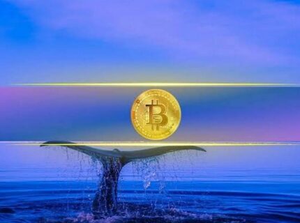 نهنگ‌های بیت کوین دوباره فعال شدند؛ ۴۱ هزار BTC در ۱۰ روز خریداری شد