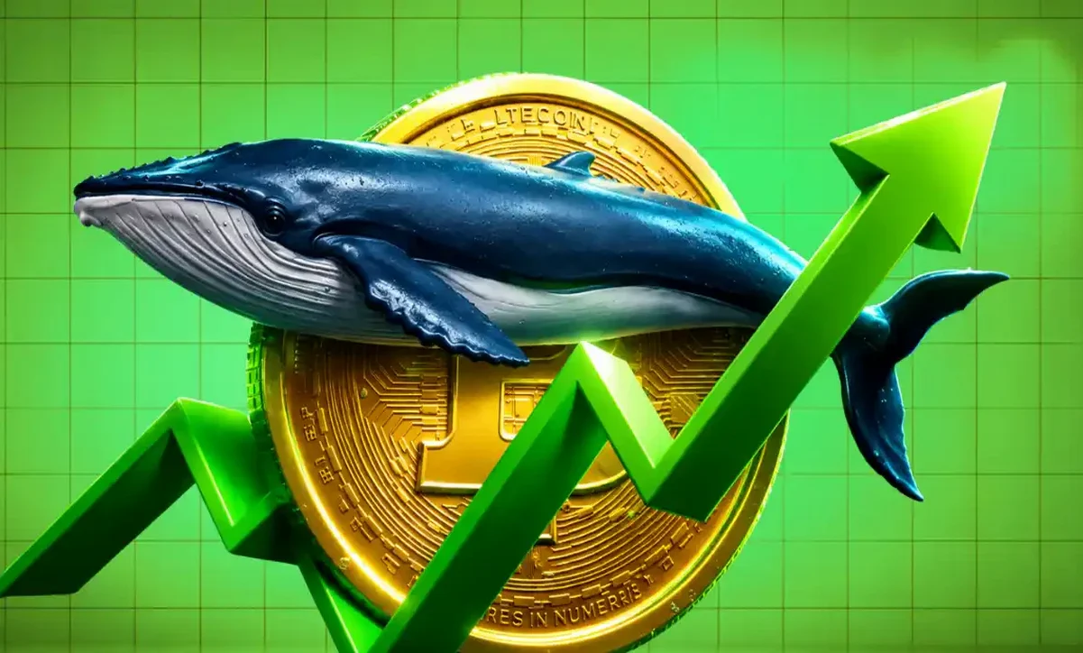 انباشت حدود ۸۹ هزار بیت کوین توسط نهنگ‌ها در یک ماه